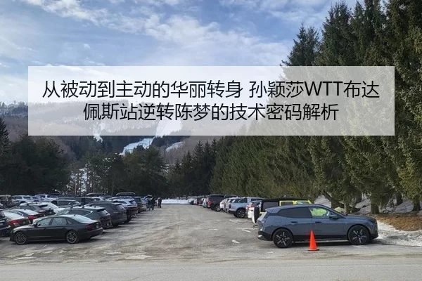 cong-bei-dong-dao-zhu-dong-de-hua-li-zhuan-shen-sun-ying-sha-bu-da-pei-si-zhan-ni-zhuan-chen-meng-de-ji-shu-mi-ma-jie-xi-2-680.jpg